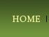 footer_home