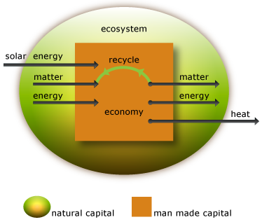 ecosystem_graphic